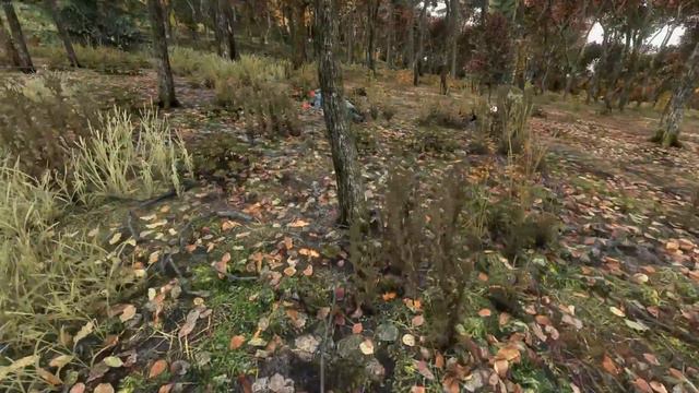 DayZ | dayz_underground_us_1: [Krasnostav + Severograd] смотреть онлайн