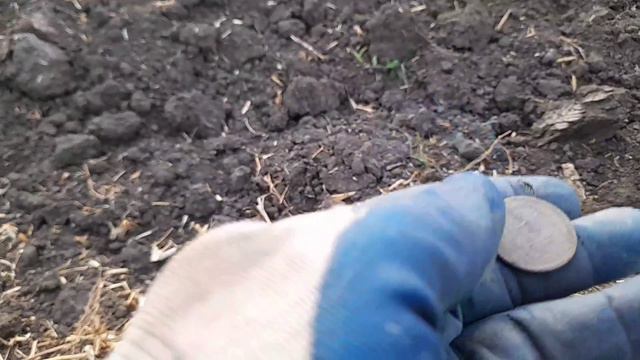 Поиск монет на хуторе,есть хорошие находки