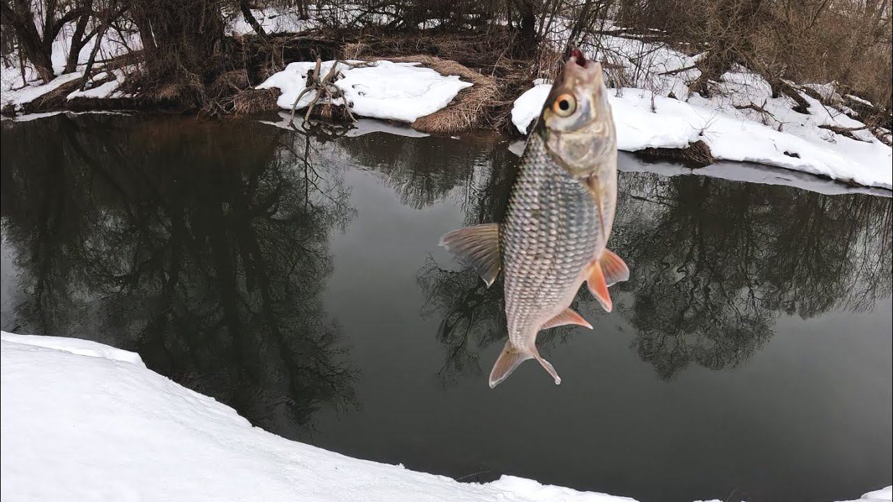 ВЕСЕННЯЯ ПЛОТВА на ПОПЛАВОК! Мартовская рыбалка! смотреть онлайн