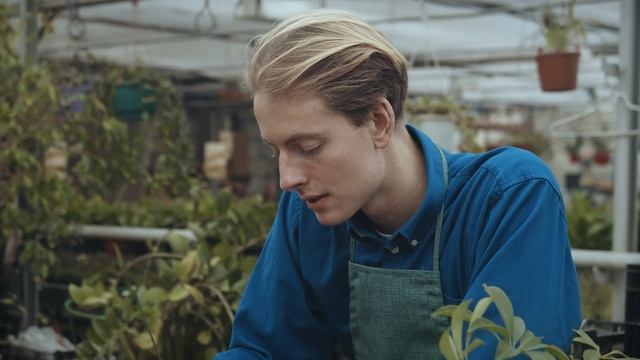 Надо ли замачивать семена ? на рассаду? смотреть онлайн