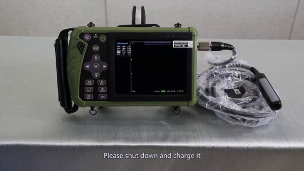 Dawei DW-VET6 portable handle veterinary use ultrasound scanner