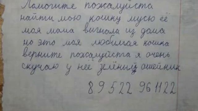 Частное объявление которое не могло оставить нас равнодушными смотреть онлайн