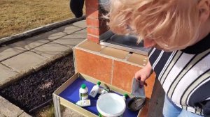 Зеленая почва в теплице. Обработка  теплицы к весенним посадкам.