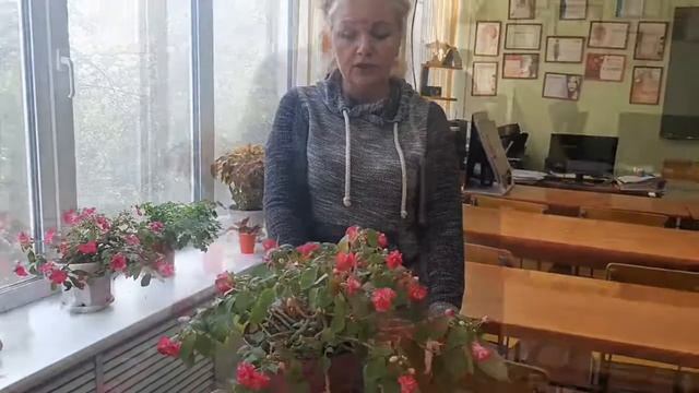 МОЙ ЦВЕТНИК НА ПОДОКОННИКЕ????? смотреть онлайн
