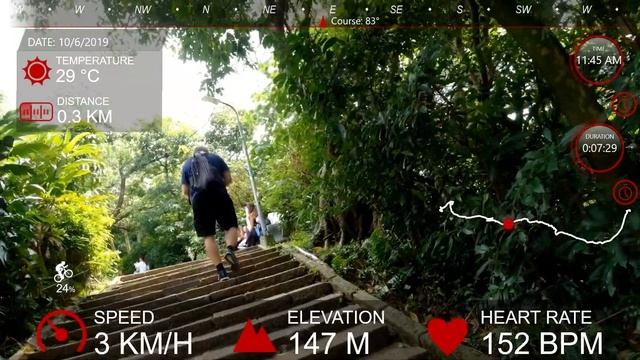 Garmin Virb video export GPS data overlay Fenix 5X | Elephant Mountain Hiking Trail 象山步道 入口至超然亭 смотреть онлайн