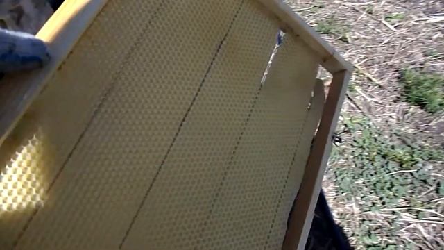 Село/Расширяем пакеты вощиной, среднерусская пчела. Регистрация пасекы на местном уровне ! смотреть онлайн