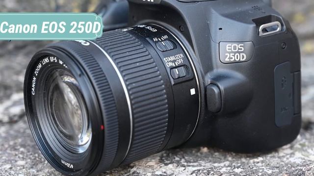 Top 5 BEST Beginner Cameras of 2021 | BEST DSLR of 2021 | Detailed Review смотреть онлайн
