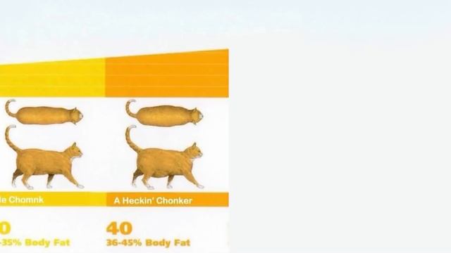Chonk Chart смотреть онлайн