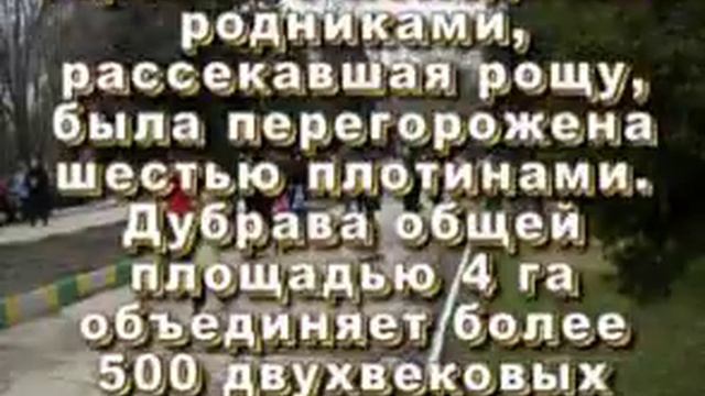 В городском парке Саратова Часть 1 смотреть онлайн