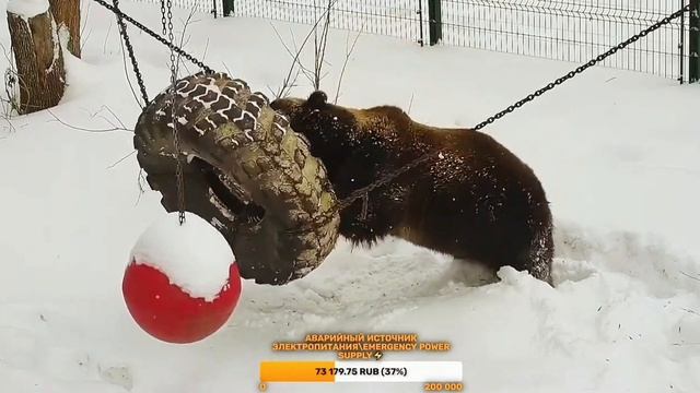 Мансур ? Качели из Шин *⚫?* смотреть онлайн