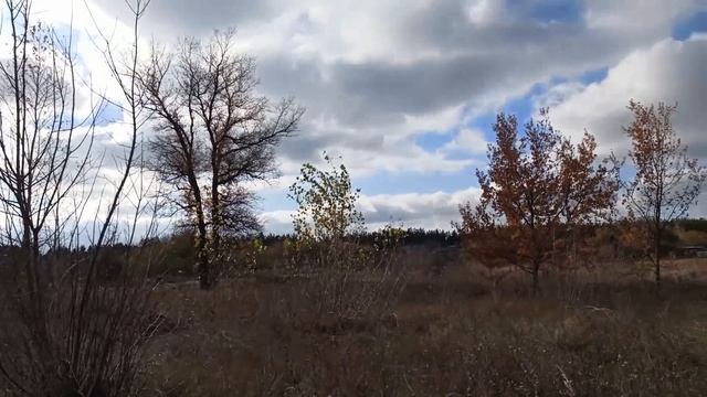 26 ноября народный праздник ИОАНН ЗЛАТОУСТ. ЧТО НЕЛЬЗЯ И НУЖНО СДЕЛАТЬ.. народные приметы и поверья смотреть онлайн