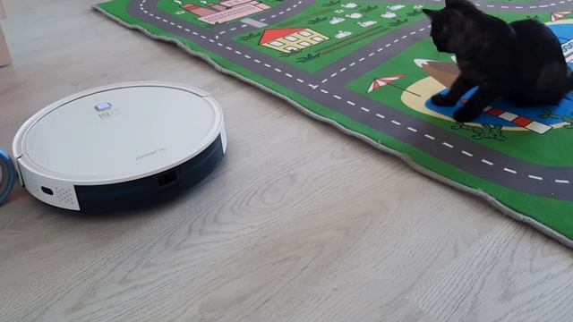 Робот-пылесос Polaris 1050 IQ Home Aqua. Настоящий помощник в доме, где есть дети ? и животные ?⬛ смотреть онлайн