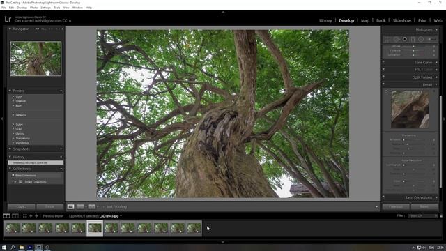 NiSi 15mm f/4 ASPH on Nikon Z6 Review Indonesia смотреть онлайн