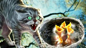 Кот Чика ОХОТИТСЯ на МАЛЕНЬКИХ ПТЕНЧИКОВ!