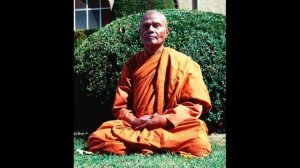 Осознанность простыми словами   Хенепола Гунаратана Бханте 1