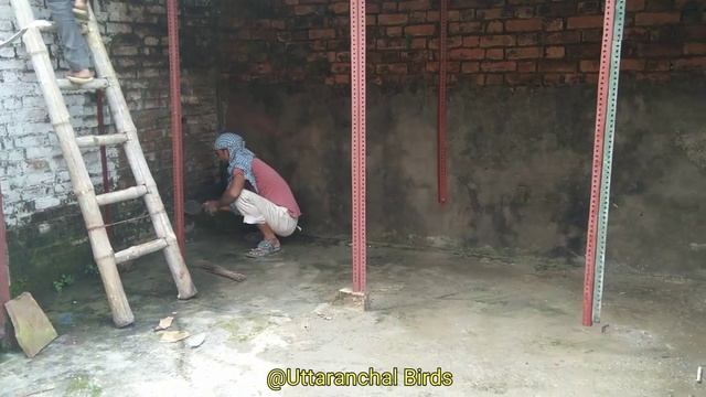 Colony Making For Finches and Java || कॉलोनी कैसे बनाए || UB || смотреть онлайн