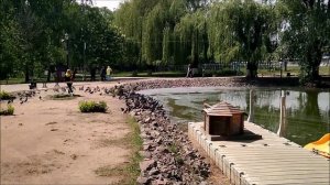 Поездка в город  Россошь