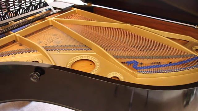 Bechstein Demo смотреть онлайн