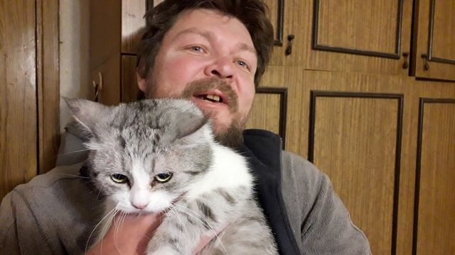 Всероссийский День Кошки! смотреть онлайн