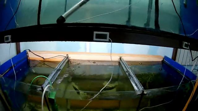Стойка для аквариумов своими руками Часть 2 Возникающие вопросы и их решение. смотреть онлайн