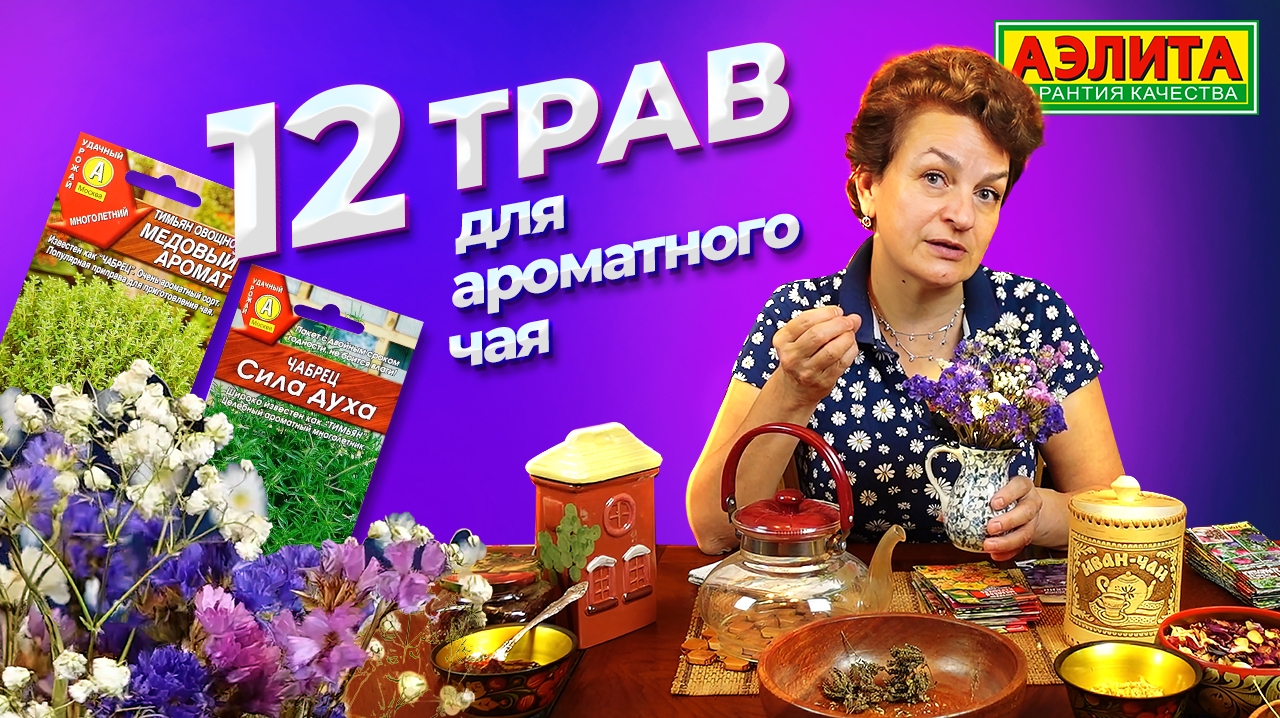 АРОМАТНЫЕ ТРАВЫ ДЛЯ ЧАЯ! Обзор семян трав от Агрофирмы Аэлита смотреть онлайн