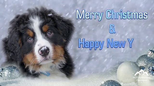 С Новым годом , с Рождеством . Знаешь друг мой скоро Новый год ! Песня для души ! смотреть онлайн