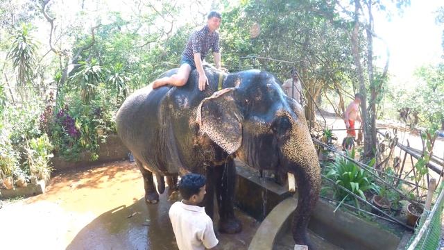 мне приснился сон, будто.......... смотреть онлайн