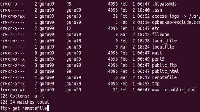 SSH, FTP, Ping, Telnet: Linux Networking Commands Tutorial 12 смотреть онлайн