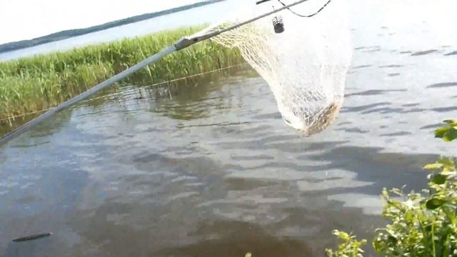 рыбалка на Зельве смотреть онлайн