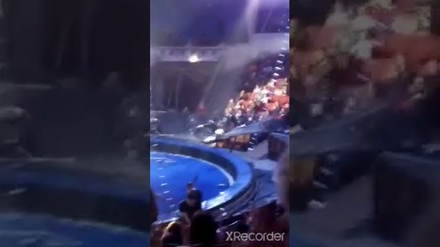 Цирк Саратов посвящённый тиграм Богдасарова(известного дрессировщика). смотреть онлайн