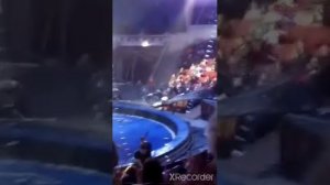 Цирк Саратов посвящённый тиграм Богдасарова(известного дрессировщика).