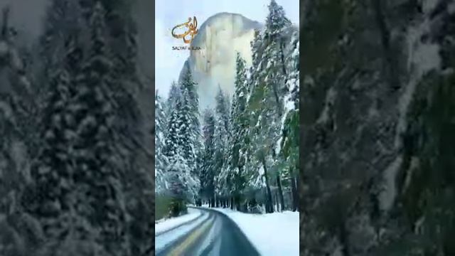 Шейх Мишари Рашид сура-36 Йасин (Ясин) #kuran#zakirnaik #kuran#sunnah#коран