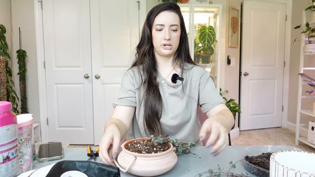 Repot and Propagate my Long SOH Plant! | Butterfly Method & Soil Propagation | Ceropegia Woodii смотреть онлайн