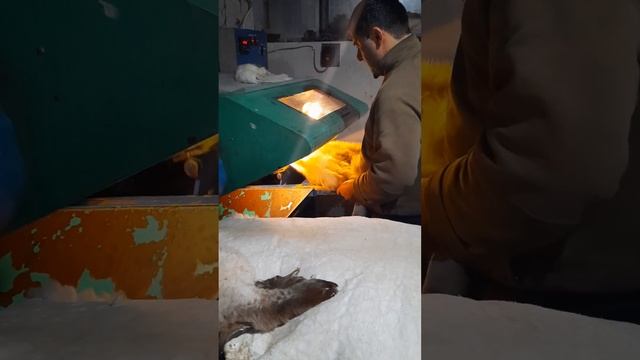 "шкуры Анзор" глажка овечьих шкур. финальная стадия. смотреть онлайн