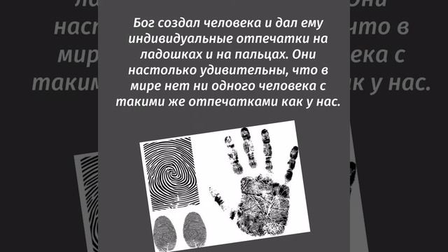 О чем говорят отпечатки пальцев смотреть онлайн