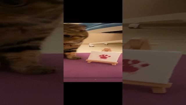 Гера и мольберт ? #geravna #топчик #любовь #пейзажи