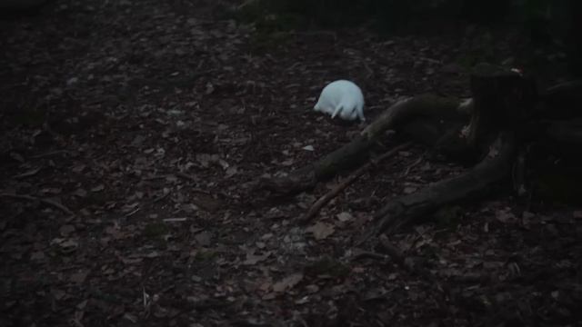 АЛЬБИОН ОНЛАЙН СТОИТ ЛИ ИГРАТЬ В 2024 ГОДУ | ОБЗОР | ALBION ONLINE