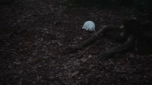 АЛЬБИОН ОНЛАЙН СТОИТ ЛИ ИГРАТЬ В 2024 ГОДУ | ОБЗОР | ALBION ONLINE