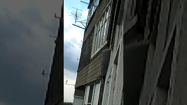 вольет или нет.размышления на балконе.mp4 смотреть онлайн