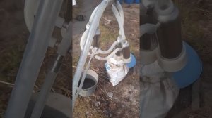 доильная установка доюшка