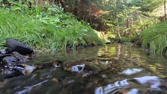 Test timelaps GoPro 11 смотреть онлайн