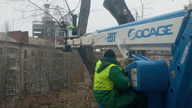 НАШЕ ДЕРЕВО ТОПОЛЬ УЖЕ ДОПИЛИВАЮТ. ПОКА ТОПОЛЬ ??!!! смотреть онлайн