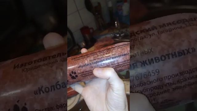 Варёная колбаса для животных от ООО "Вологодский мясодел"??Чем я кормлю собак в нашем приюте.? смотреть онлайн