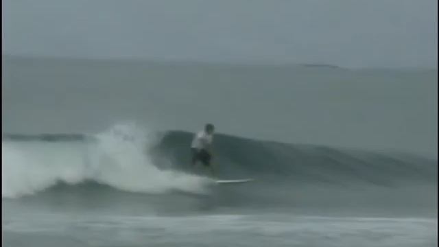 turtle's, west java смотреть онлайн