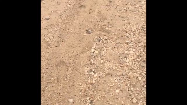 Minelab x-terra 305 first time at the beach and after thoughts . смотреть онлайн
