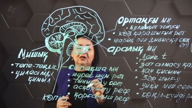 Ми бөлімдері. 7 сынып. смотреть онлайн