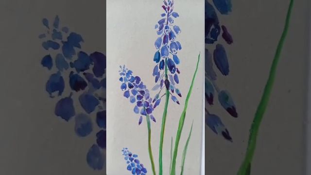 Мускарики, акварель смотреть онлайн