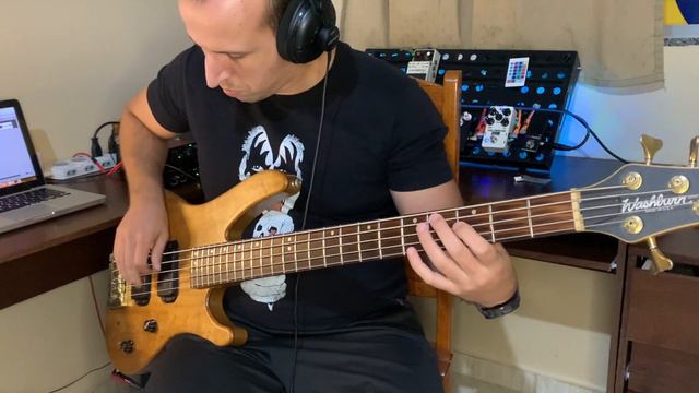 Washburn XB925 passivo смотреть онлайн