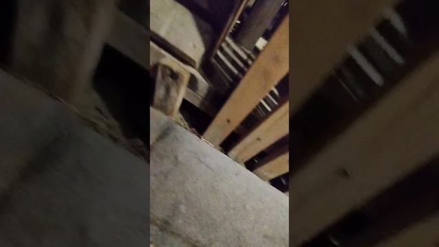 Жёсткий слизнячок 😎 смотреть онлайн