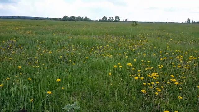 Тест новой катушки DETECH ULTIMATE 13 DD на металлоискателе E-TRAC.